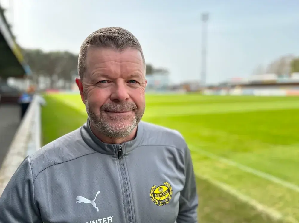 msn, 淋巴细胞白, 滨渔村哈莱 msn, 淋巴细胞白, 滨渔村哈莱